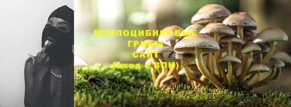 ешки Новокубанск