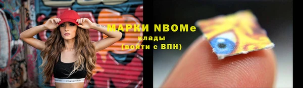 прущие крисы Новозыбков