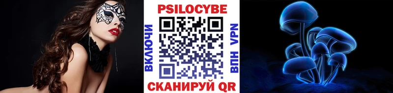 Купить закладки  Кола  Псилоцибиновые грибы MAGIC MUSHROOMS 